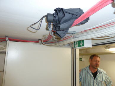 Kuriosit�t Regenschirm